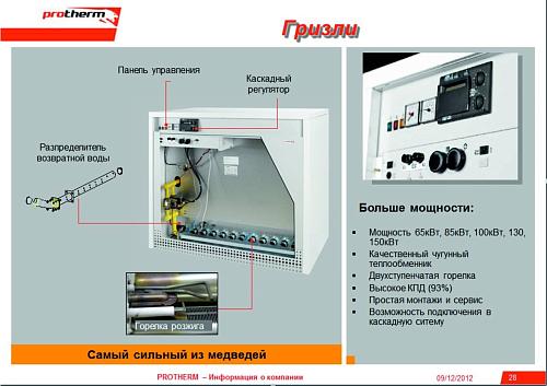 Protherm 65 KLO Гризли напольный котёл