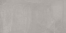 Ariana Concrea Silver Patinato Rett. 60x120 см Напольная плитка